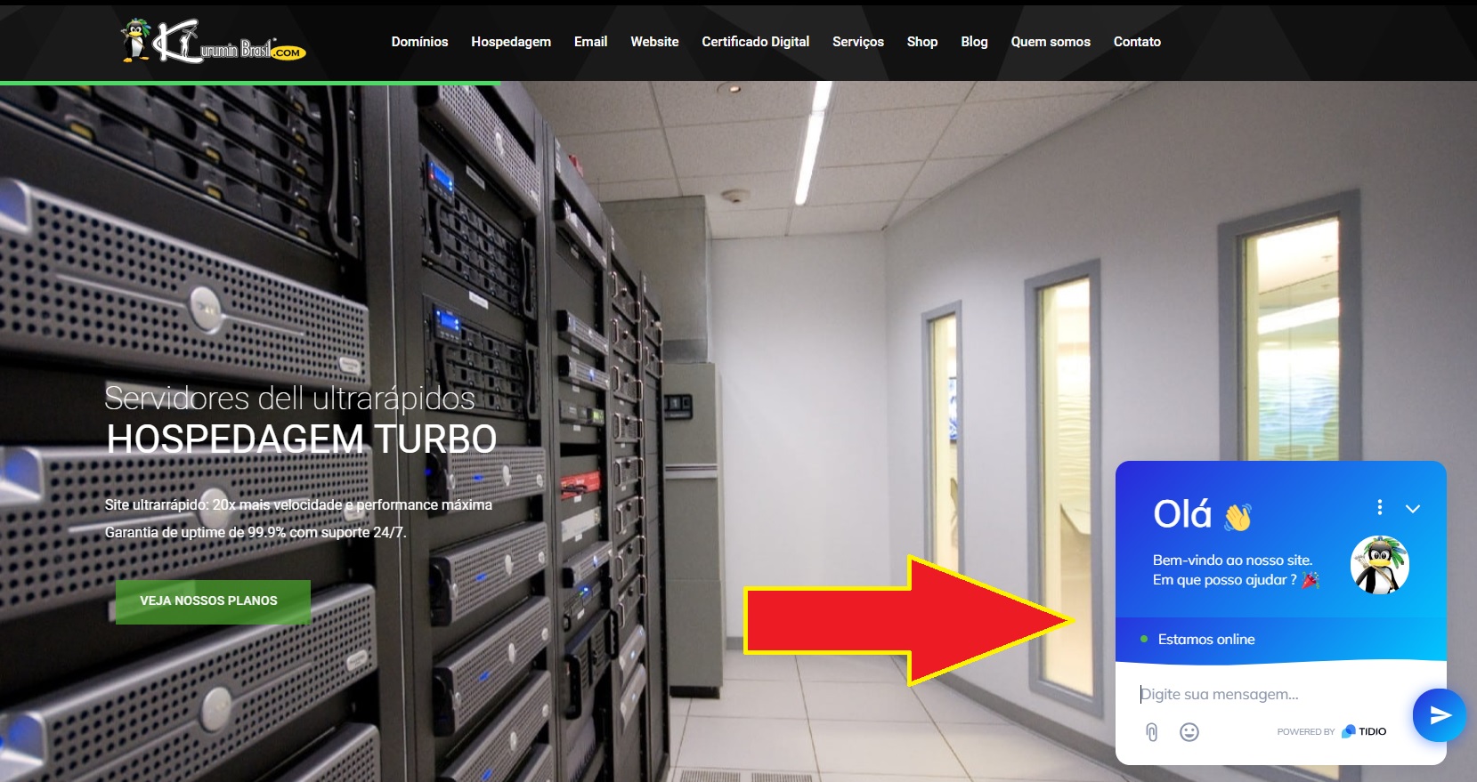Chat ao vivo da Kurumin Brasil